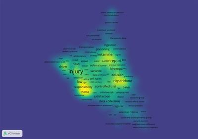 Physical and Pharmacological Restraints in Hospital Care: Protocol for a Systematic Review